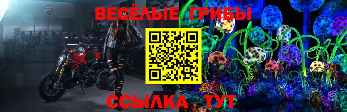 Псилоцибиновые грибы прущие грибы  Галлюциногенные грибы GOLDEN TEACHER  Малоярославец  Вход с VPN 