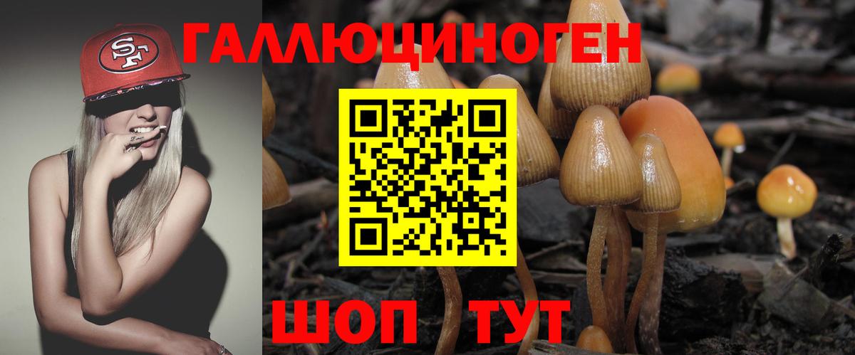 Псилоцибиновые грибы мухоморы Малоярославец