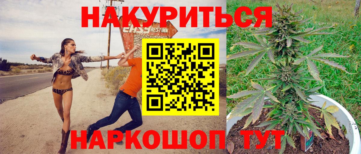 Каннабис AK-47  Вход с VPN  Малоярославец  Конопля план 